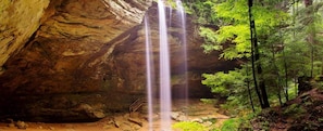 Eine Höhle mit einem Wasserfall, umgeben von Wald.