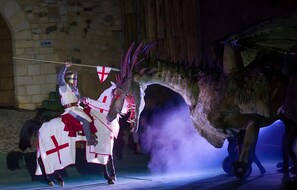 A person in medieval costume with a spear, a large dragon, and smoke effects. - Apartment 'Rural Ca La Roser' with Private Terrace, Wi-Fi and Air Conditioning (L'Espluga de Francolí)
