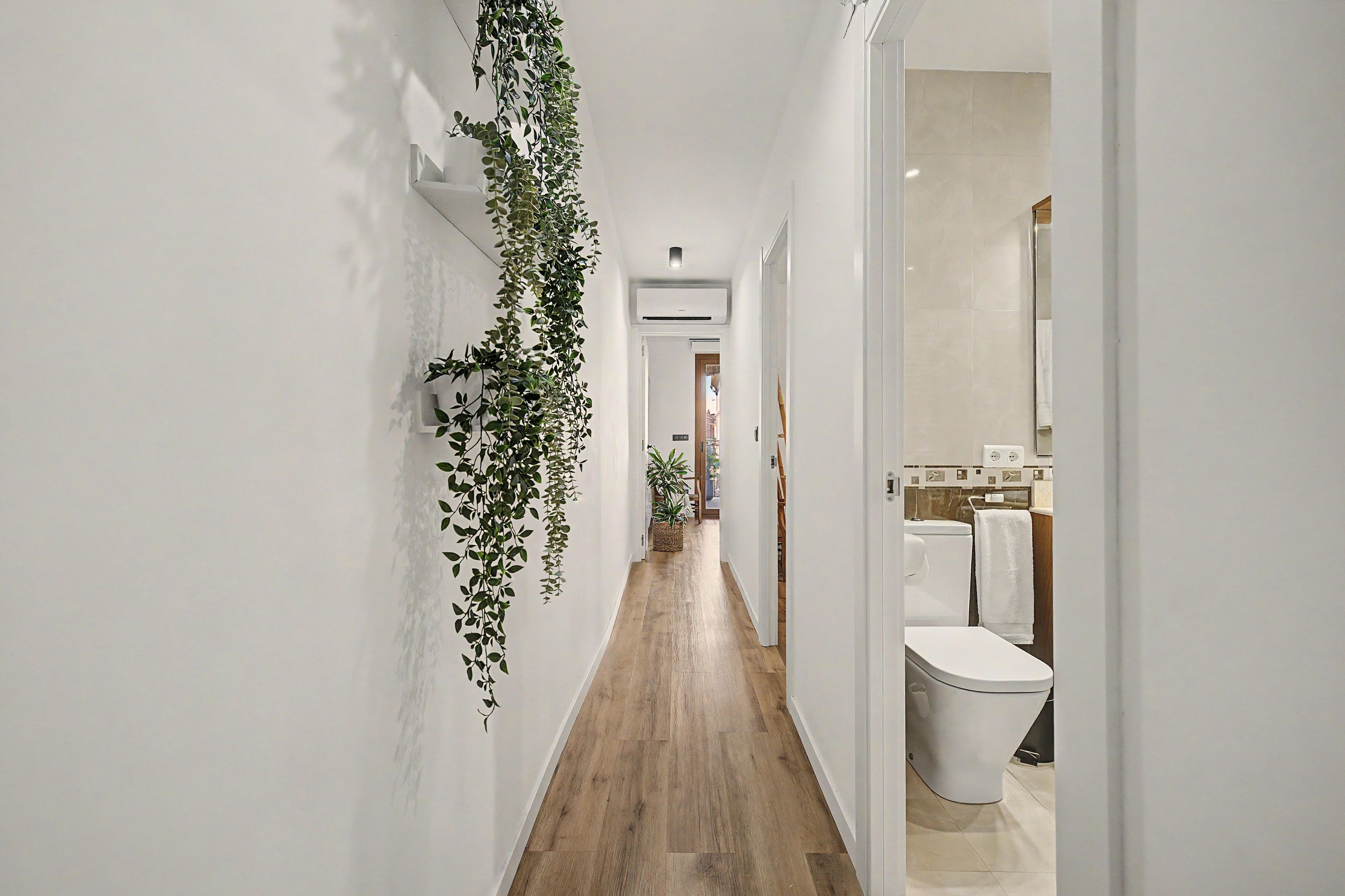Un pasillo con piso de madera, paredes blancas y una planta colgante.