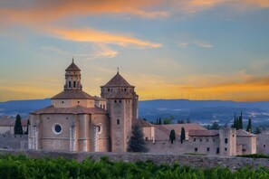 A historic building with a prominent tower and a smaller adjacent structure, surrounded by vineyards. - Apartment 'Rural Ca La Roser' with Private Terrace, Wi-Fi and Air Conditioning (L'Espluga de Francolí)