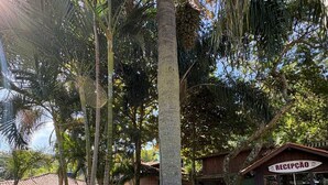 A reception area with a sign, surrounded by palm trees and a gravel path. - recanto  (Garopaba)