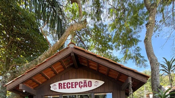 A reception area with a wooden roof, a sign reading 'RECEPCAO', and a glass door. - recanto  (Garopaba)