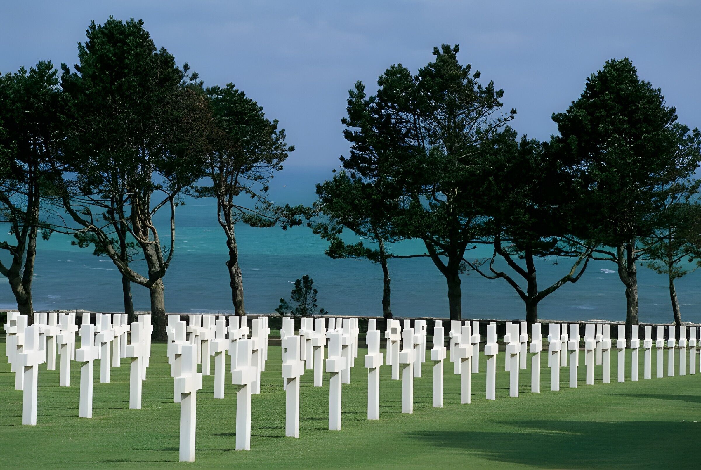 A cemetery with white crosses and trees in the background.