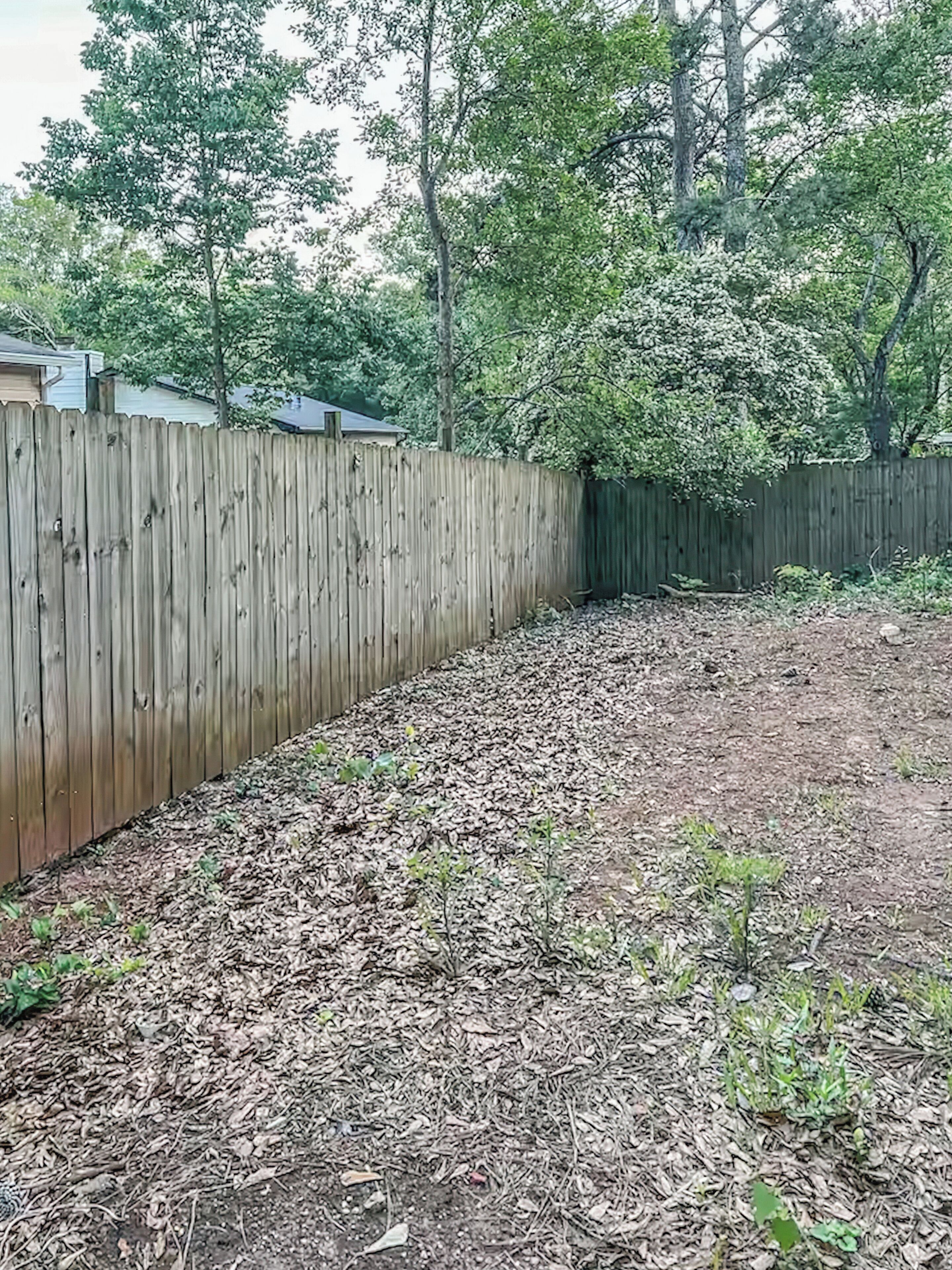 A backyard with a wooden fence, mulch, and sparse vegetation.
