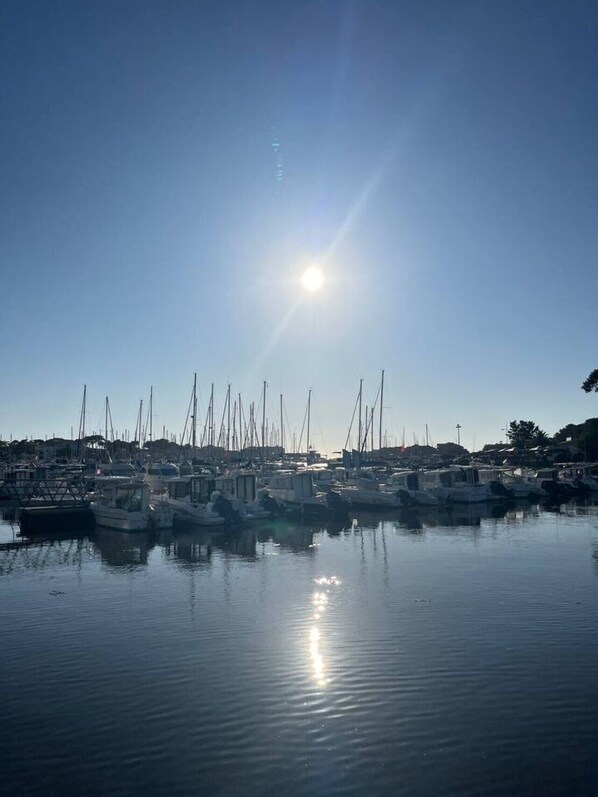 Ein Yachthafen mit vertäuten Booten, ruhigem Wasser und blauem Himmel.