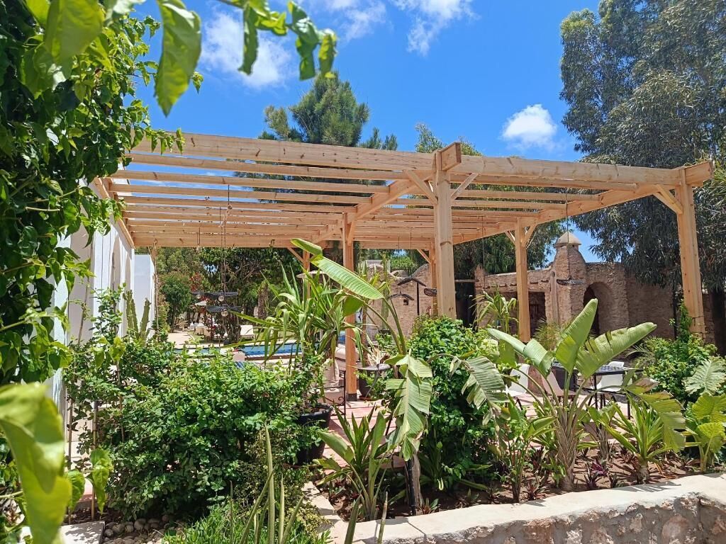 Una pérgola de madera en un jardín con diversas plantas y un edificio de ladrillo al fondo.