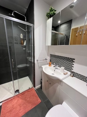 Een douche, handdoeken, toiletpapier