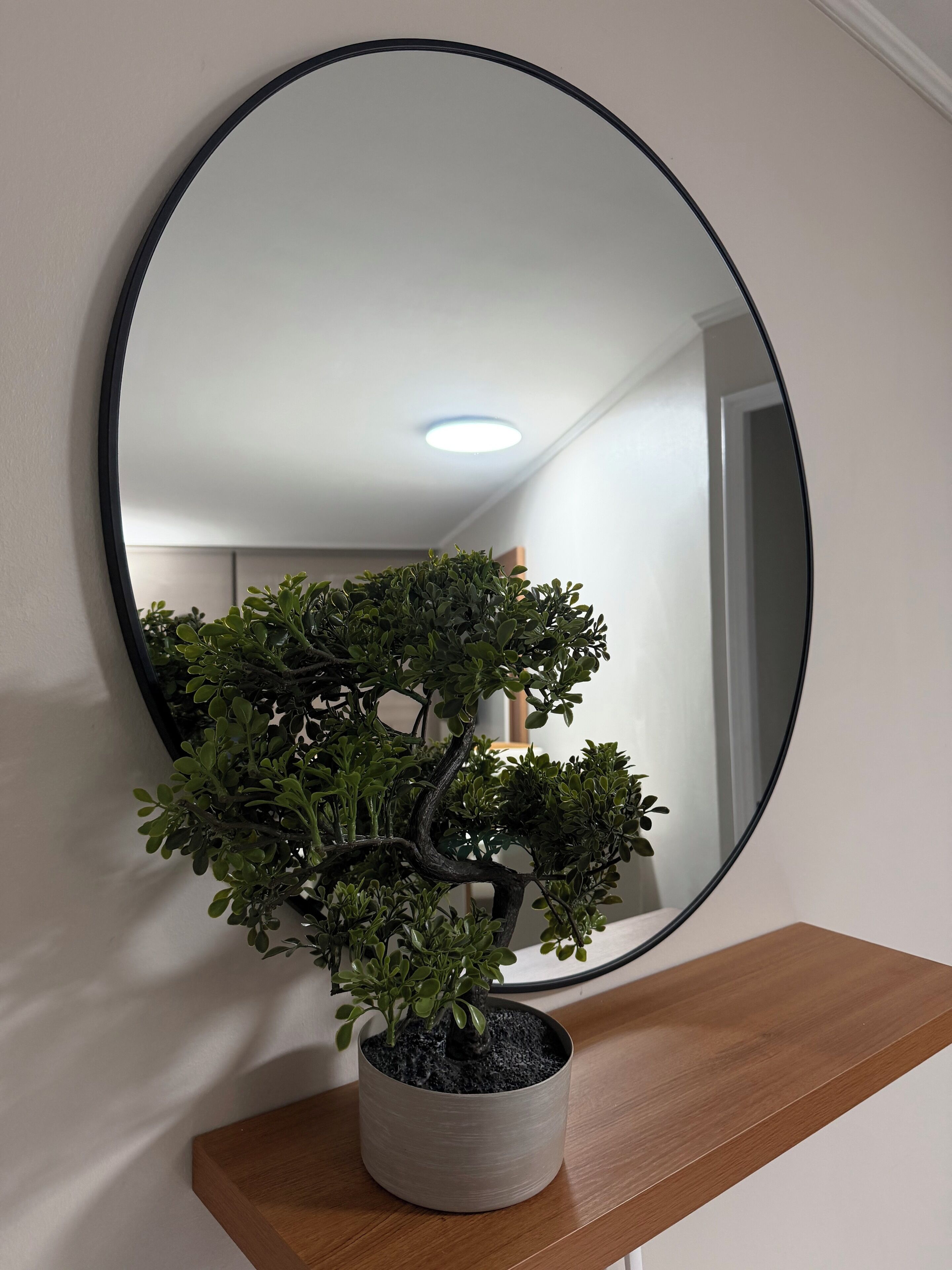 Een potplant op een houten plank, met een ronde spiegel erboven.