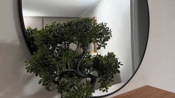 A potted plant on a wooden shelf with a round mirror above it.