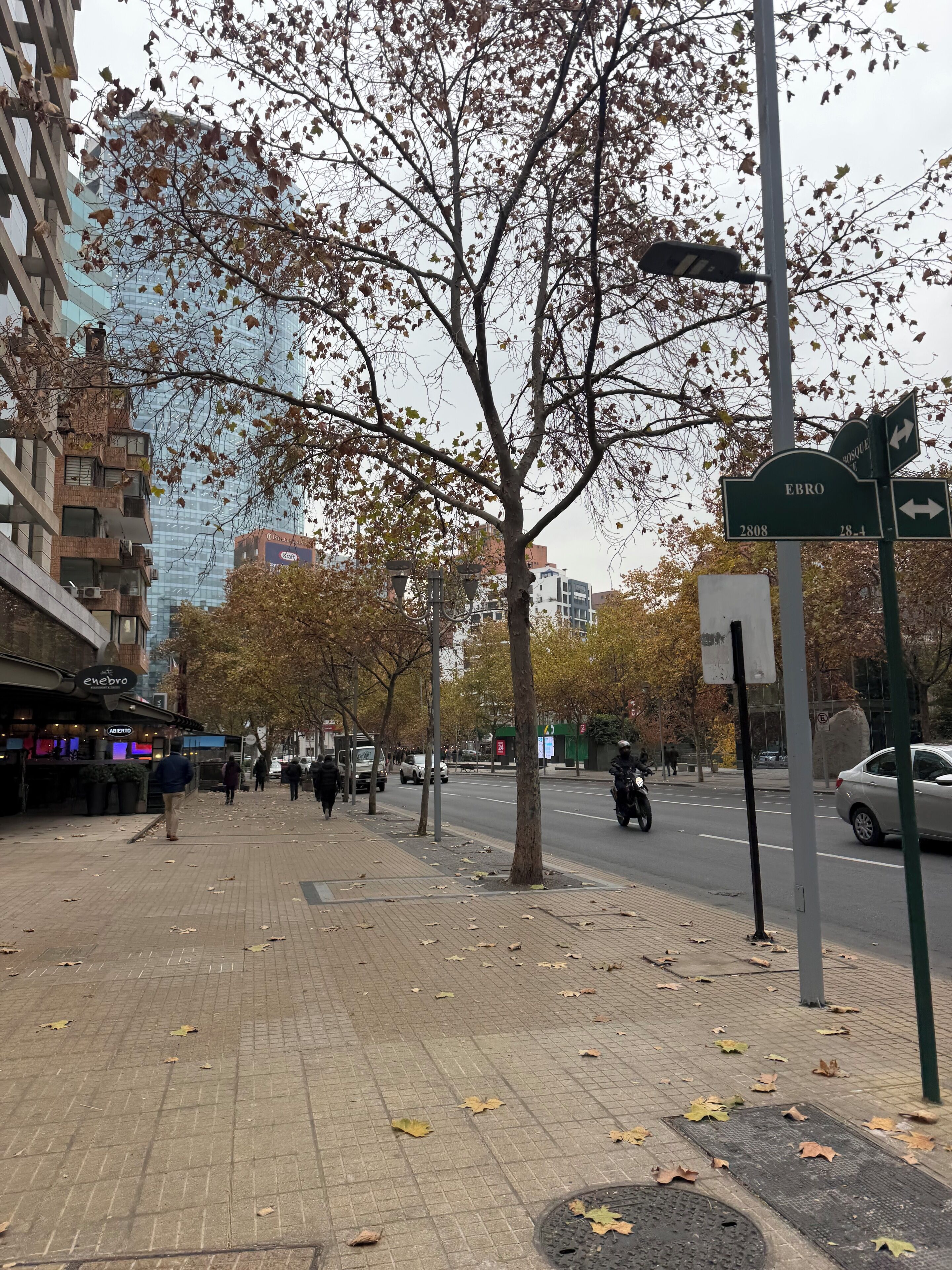 A city street with a pedestrian sidewalk, trees, and a street sign.
