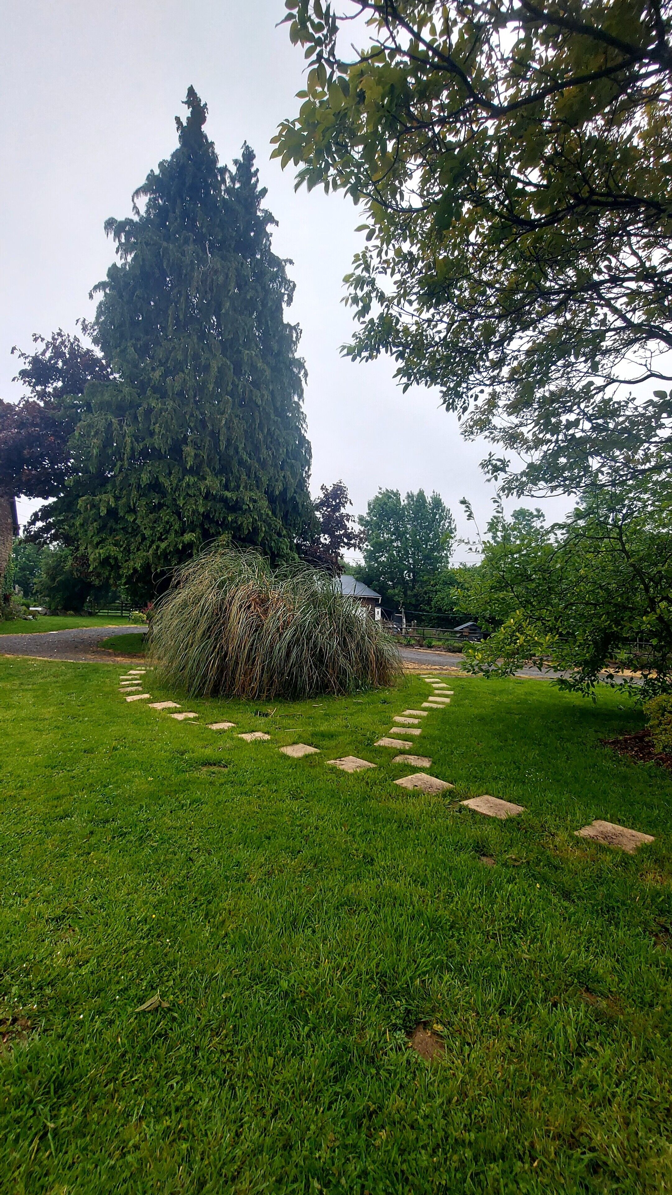 Une zone herbeuse avec un sentier en pierre menant à un buisson, le tout étant entouré d’arbres.