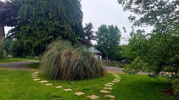 A grassy area with a stone pathway leading to a bush, surrounded by trees.