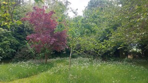 A garden with a variety of trees, including one with red leaves, and a grassy area with white flowers.