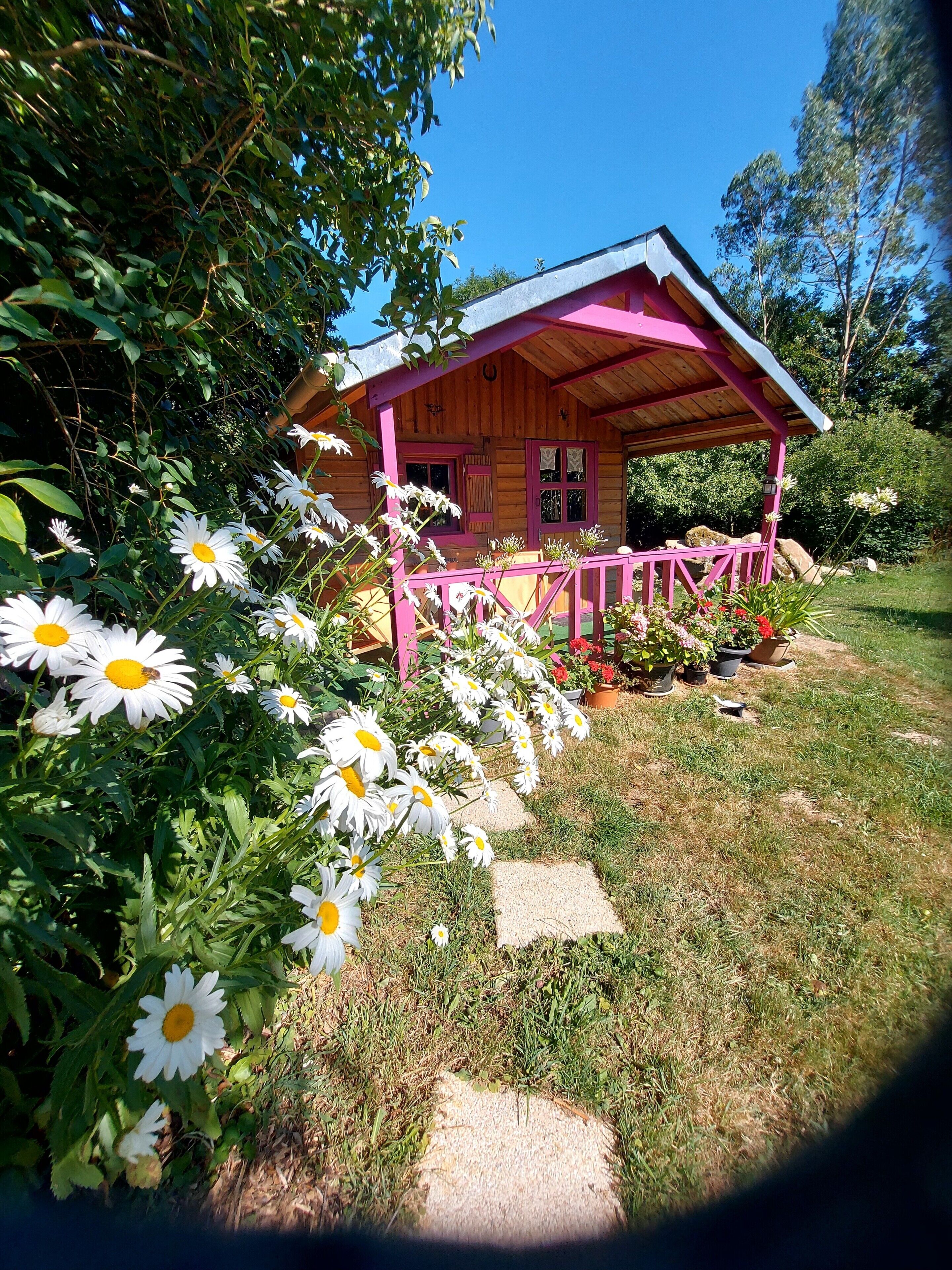 En træhytte med et rosa tag og en veranda, omgivet af hvide margueritter og andre planter.