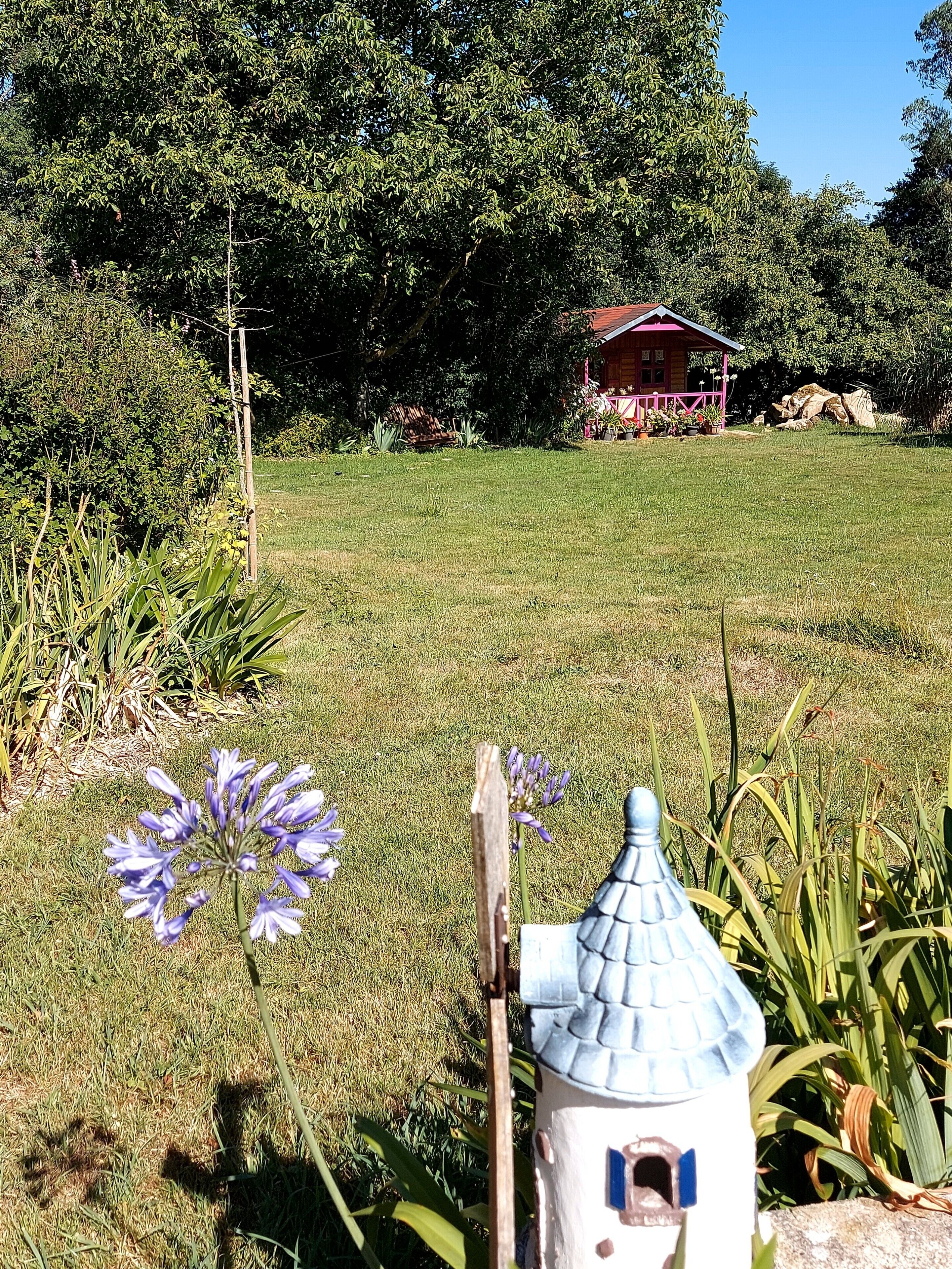 Un jardin avec un nichoir, un petit abri de jardin et un groupe de fleurs violettes.