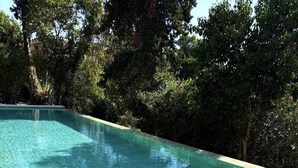 Piscina límpida cercada por árvores densas.