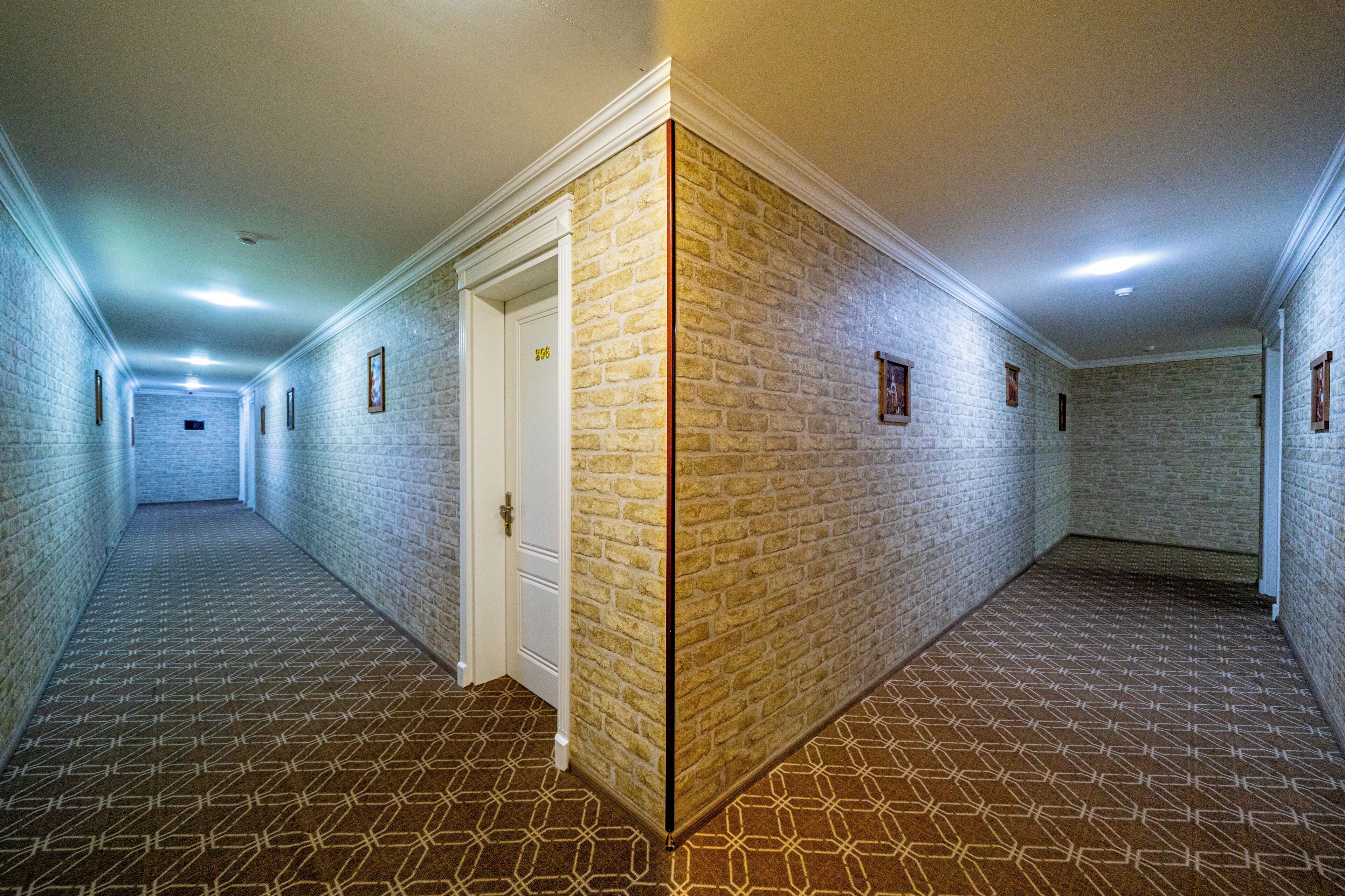 A hallway with a patterned carpet, brick walls, and a white door with a number.