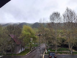 Miscelánea