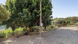 Un sentiero lastricato conduce a una collina con un albero grande e un palo della luce.