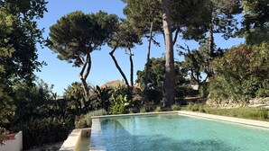 Una piscina rectangular de aguas cristalinas, rodeada de abundante vegetación y árboles altos.