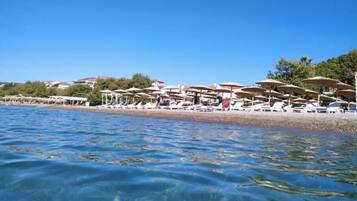 Ranta