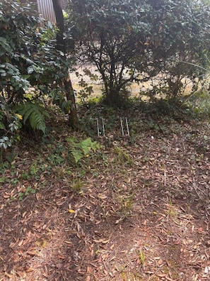 Ein Garten mit üppiger Bepflanzung, einem Baum und einer Umzäunung.