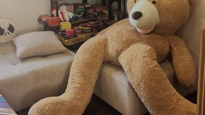 Et værelse med en stor teddybjørn på en sofa, et vægmonteret fladskærms-tv og en hylde med forskellige genstande.