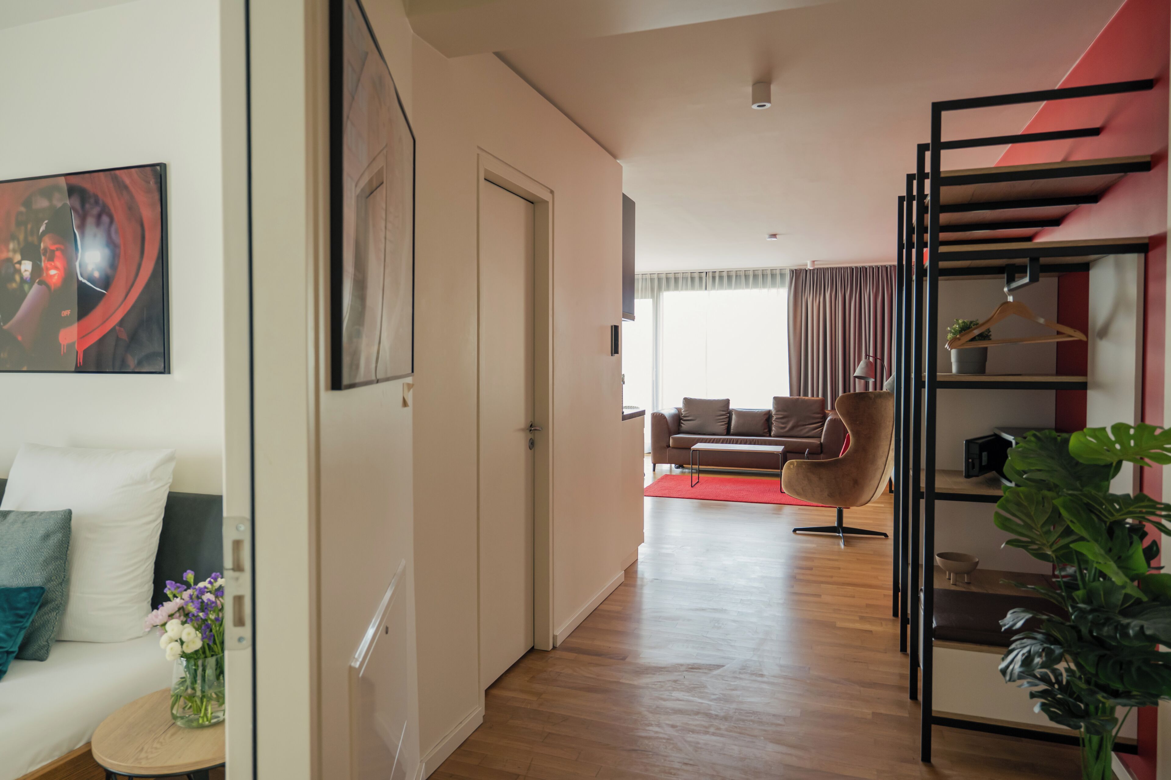 Una sala de estar moderna con un sofá, un tapete rojo, una silla colgante y una estantería.
