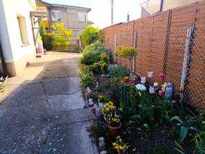 Ein schmaler Weg, der von einer Ziegelmauer und einem Maschendrahtzaun gesäumt wird, mit verschiedenen topfgebundenen Pflanzen und Blumen, darunter Tulpen und gelbe Blüten.