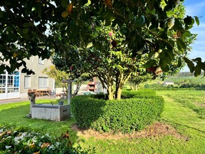 A well-maintained garden with a tree, a hedge, and a concrete planter.