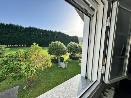 A view from a window overlooking a well-maintained garden with neatly trimmed hedges and a lawn.