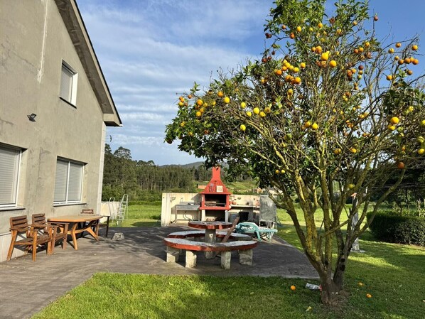 A building with a patio, outdoor seating, and a tree with fruit.