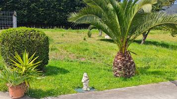 A garden with a statue, a palm tree, and a hedge.
