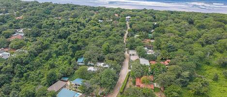 An aerial view of a coastal area with a narrow road leading to a cluster of houses surrounded by dense greenery.