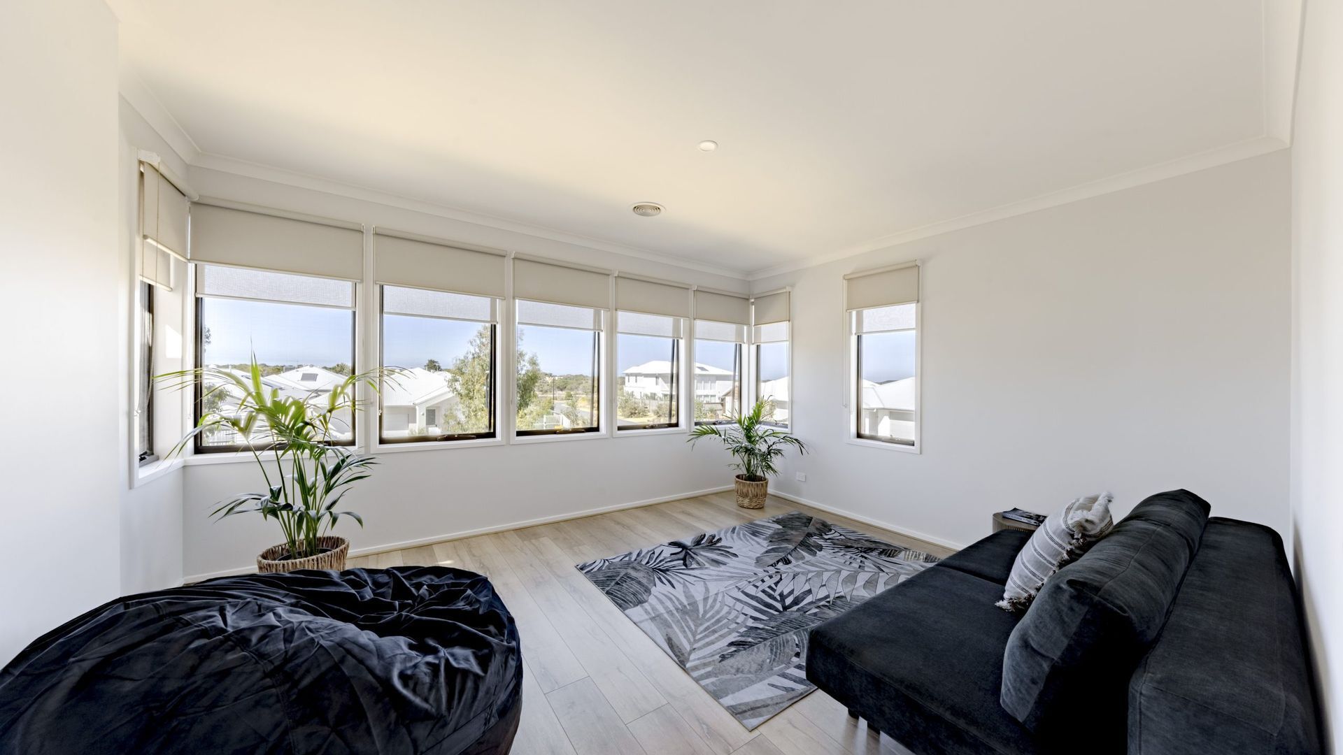 A spacious room with a large window, a black sofa, a patterned rug, and two potted plants.