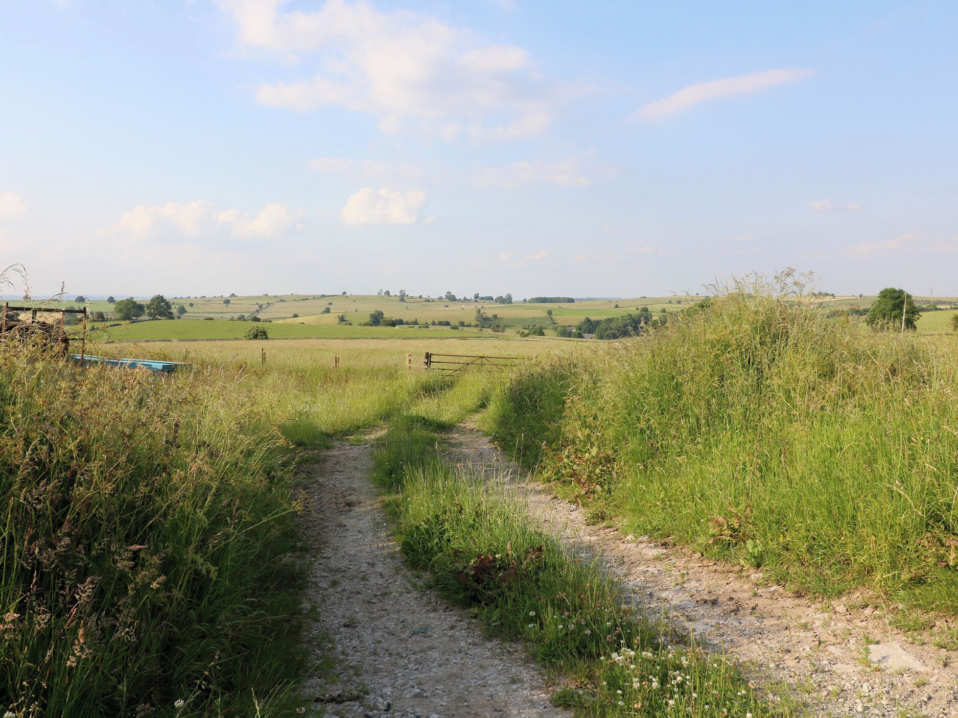 A rural path leading through a field with a fence on one side and a blue structure on the other.