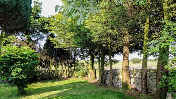 A stone wall with trees and grass. - Rockhurst Farm (Matlock)