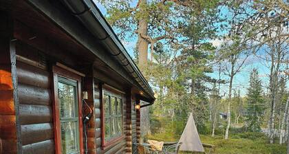 Family cabin with ski trails at the door in Trysil