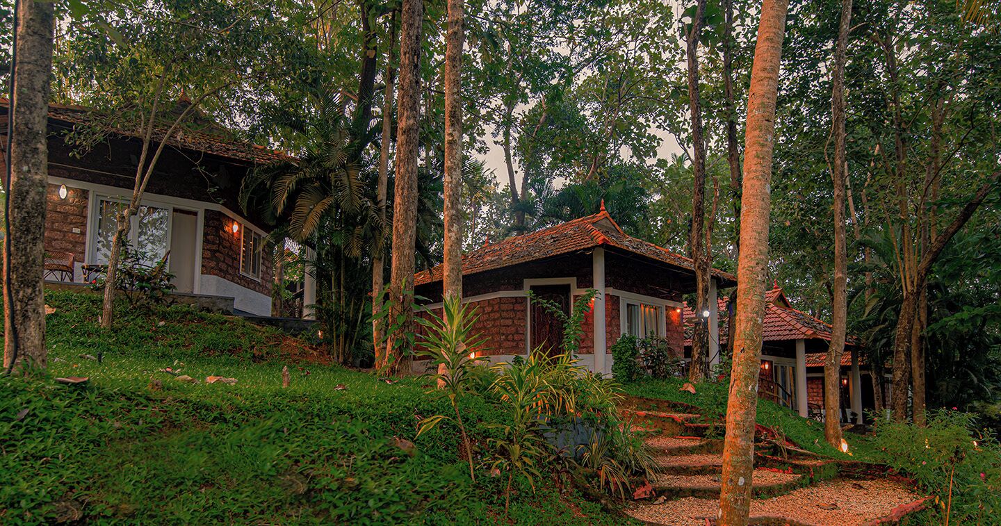 Un edificio rústico rodeado de un bosque denso, con una escalera que conduce a la entrada.