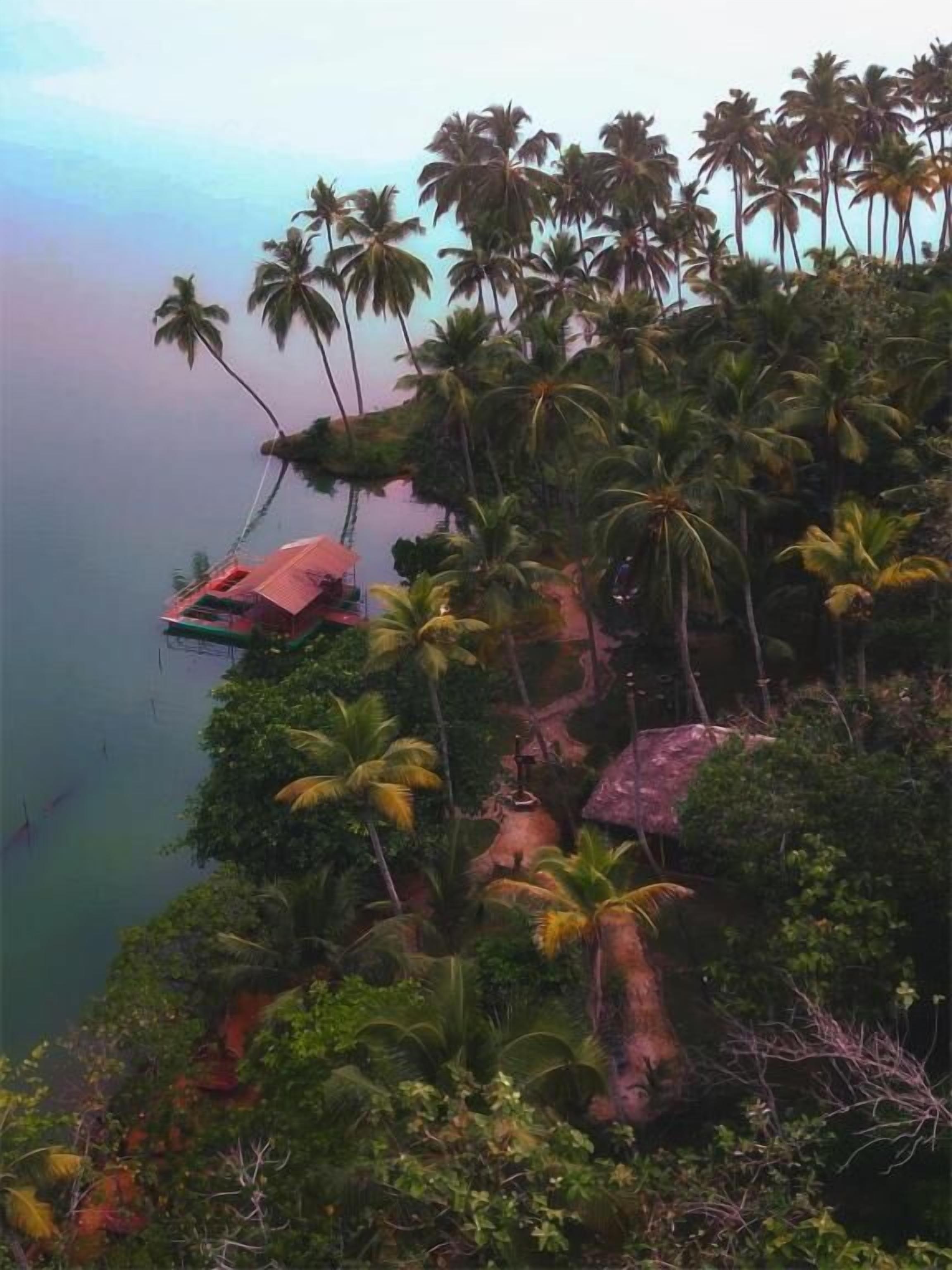 A tropical landscape with palm trees and a small structure on a cliff overlooking a body of water.