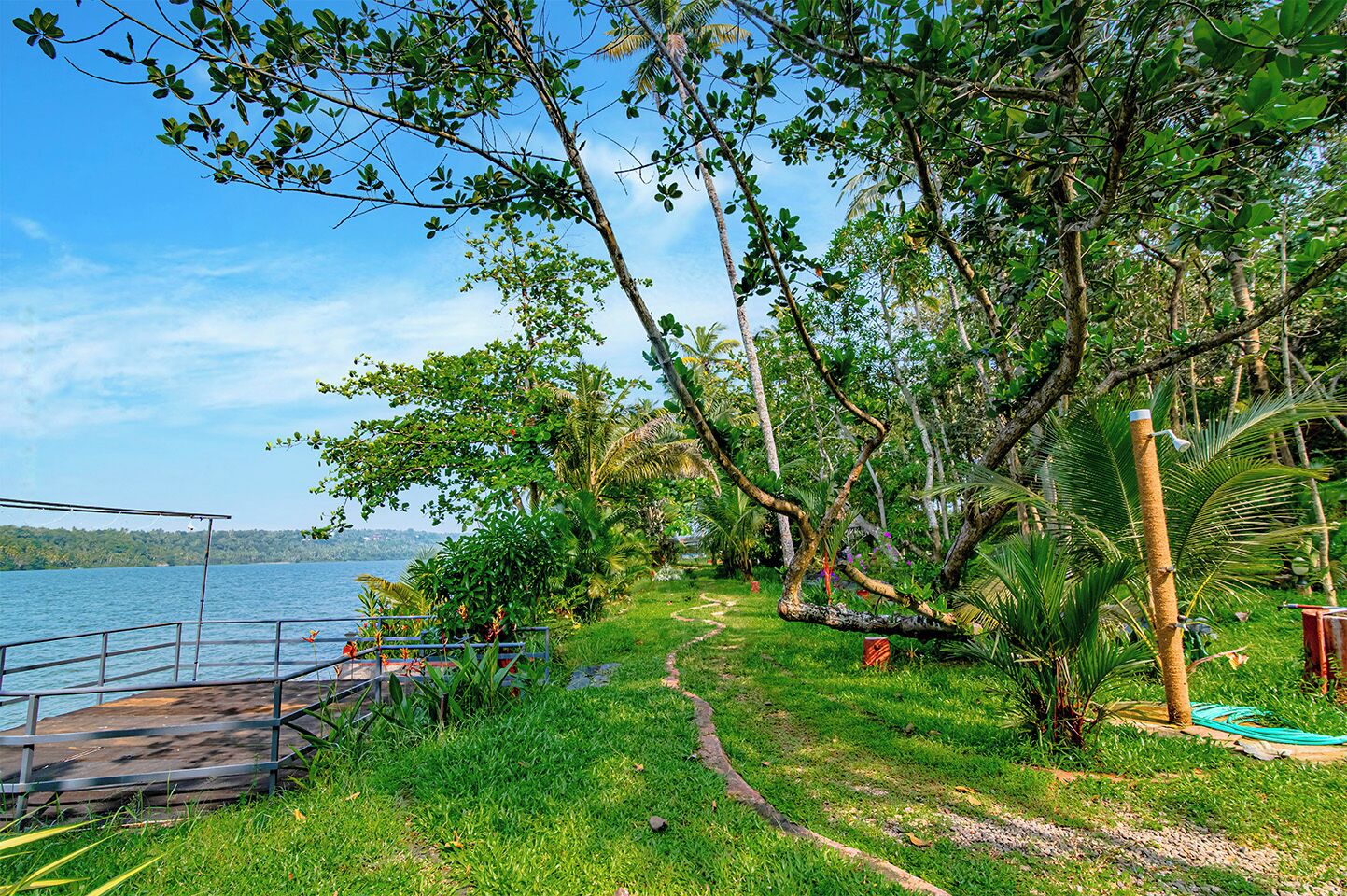 A lakeside pathway with a metal railing, surrounded by lush greenery and palm trees.
