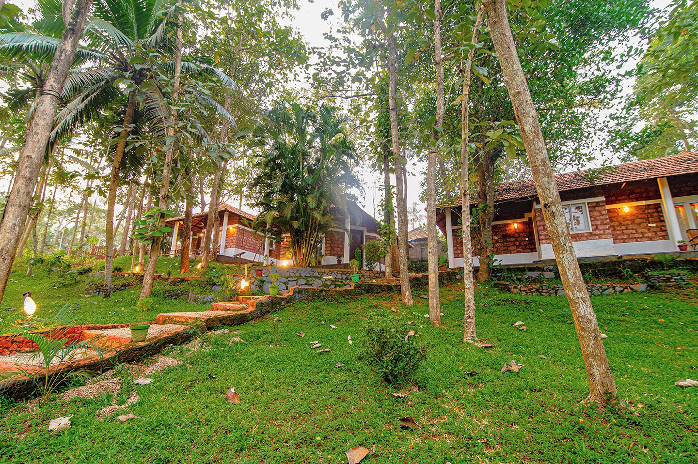 A resort with multiple bungalow-style buildings, surrounded by lush greenery and trees.