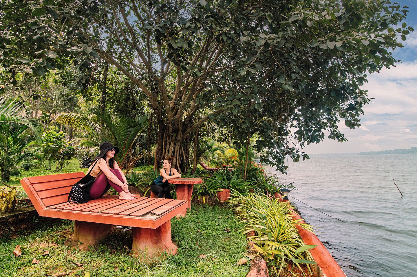 A bench by a lake with greenery and a tree.