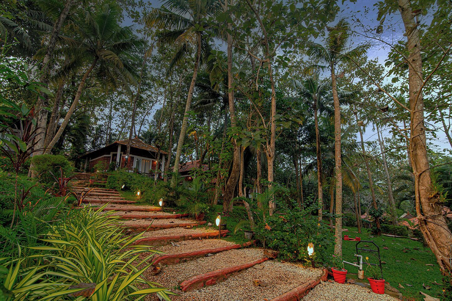 A pathway leading to a building surrounded by dense tropical vegetation.