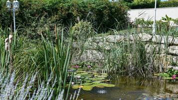 Jardines del alojamiento