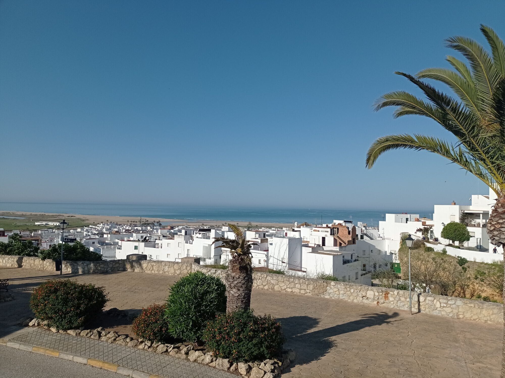 A coastal town with white buildings, a palm tree, and a view of the sea.