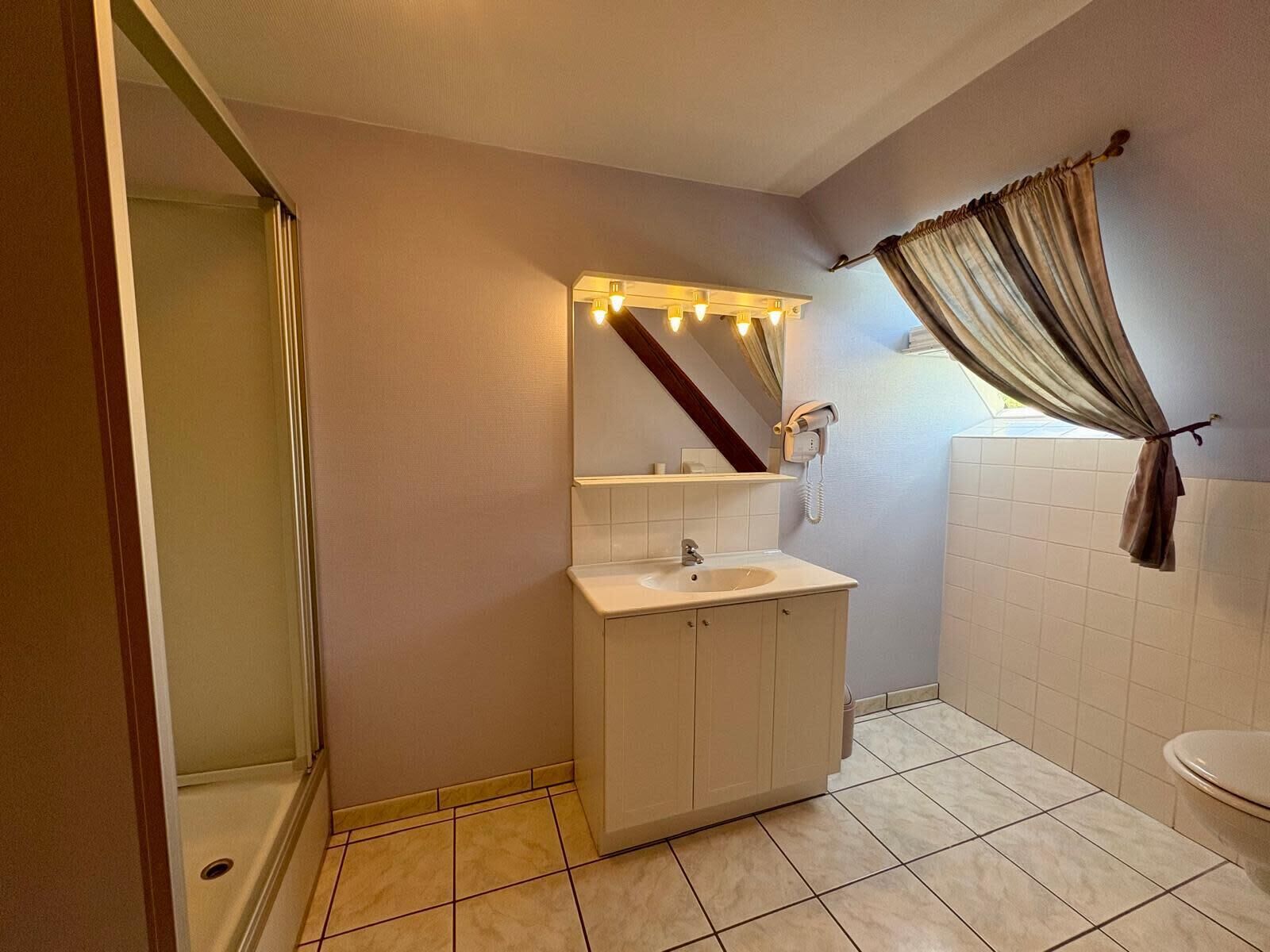 A bathroom with a sink, mirror, and toilet.
