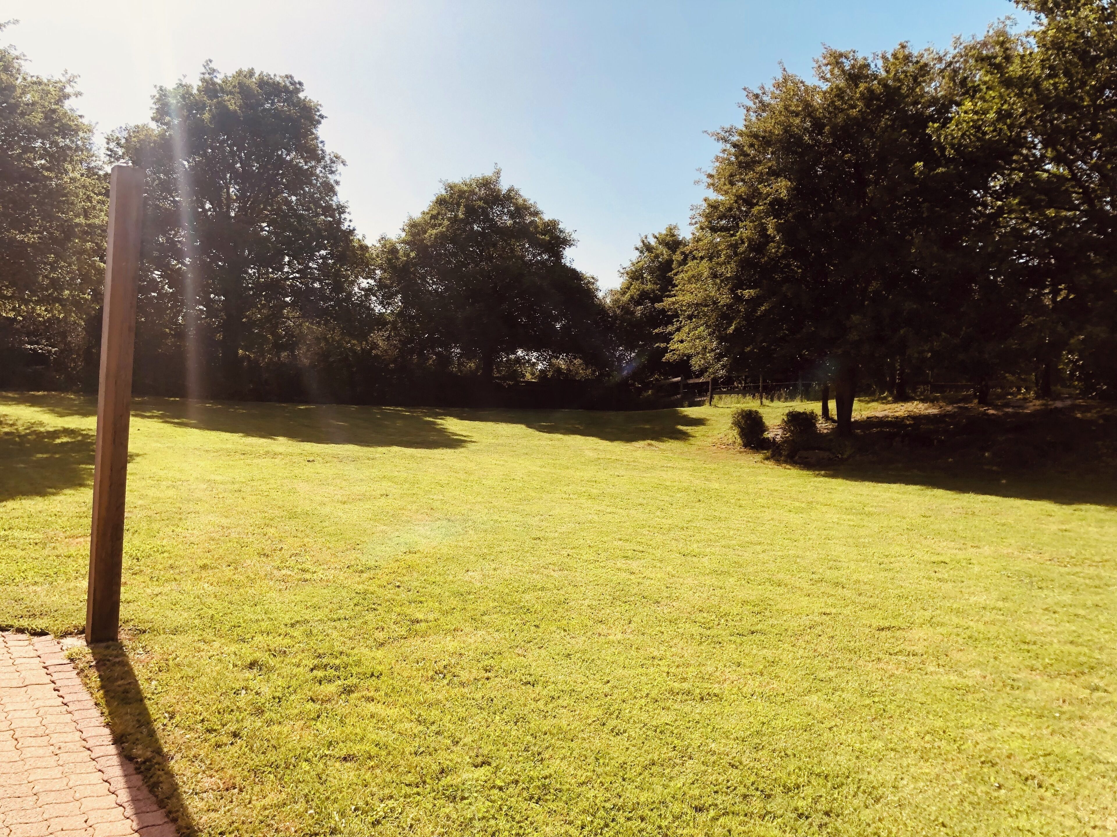 A grassy outdoor area with trees and a paved walkway.