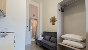 En modern lägenhet med ett kök, en grå soffa, en garderob med upphängda kläder och ett badrum i bakgrunden.