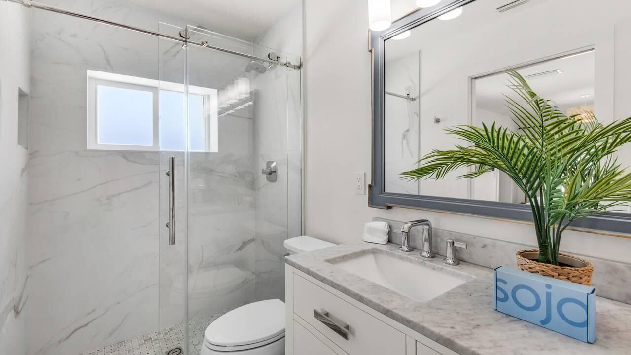 Un baño moderno con ducha de vidrio, inodoro blanco, lavamanos de mármol y un espejo con una planta.